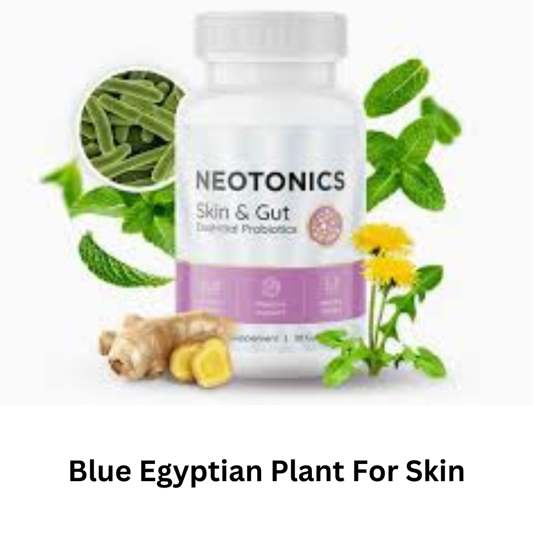 Blue Egyptian Plant For Skin