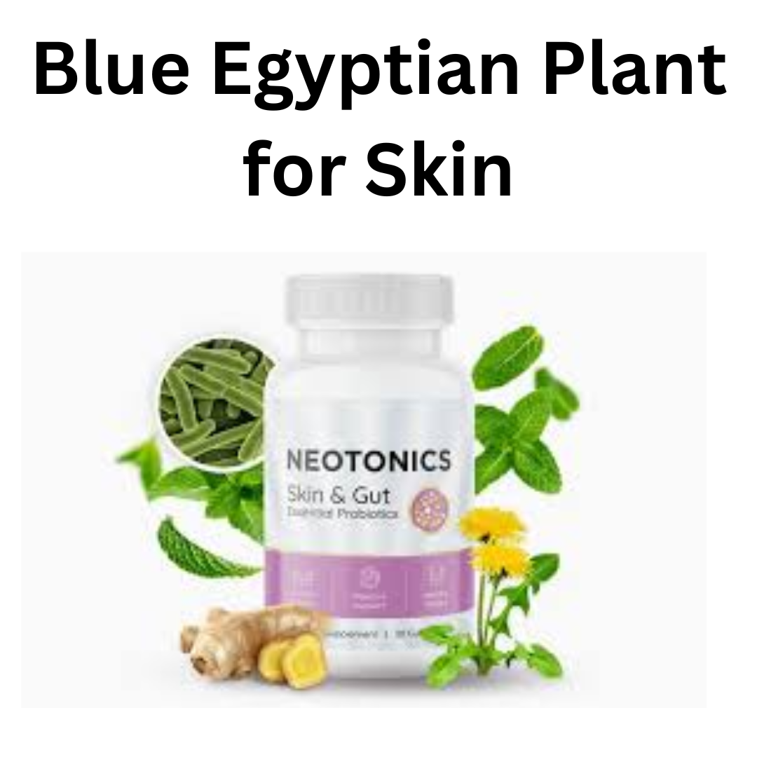 Blue Egyptian Plant for Skin